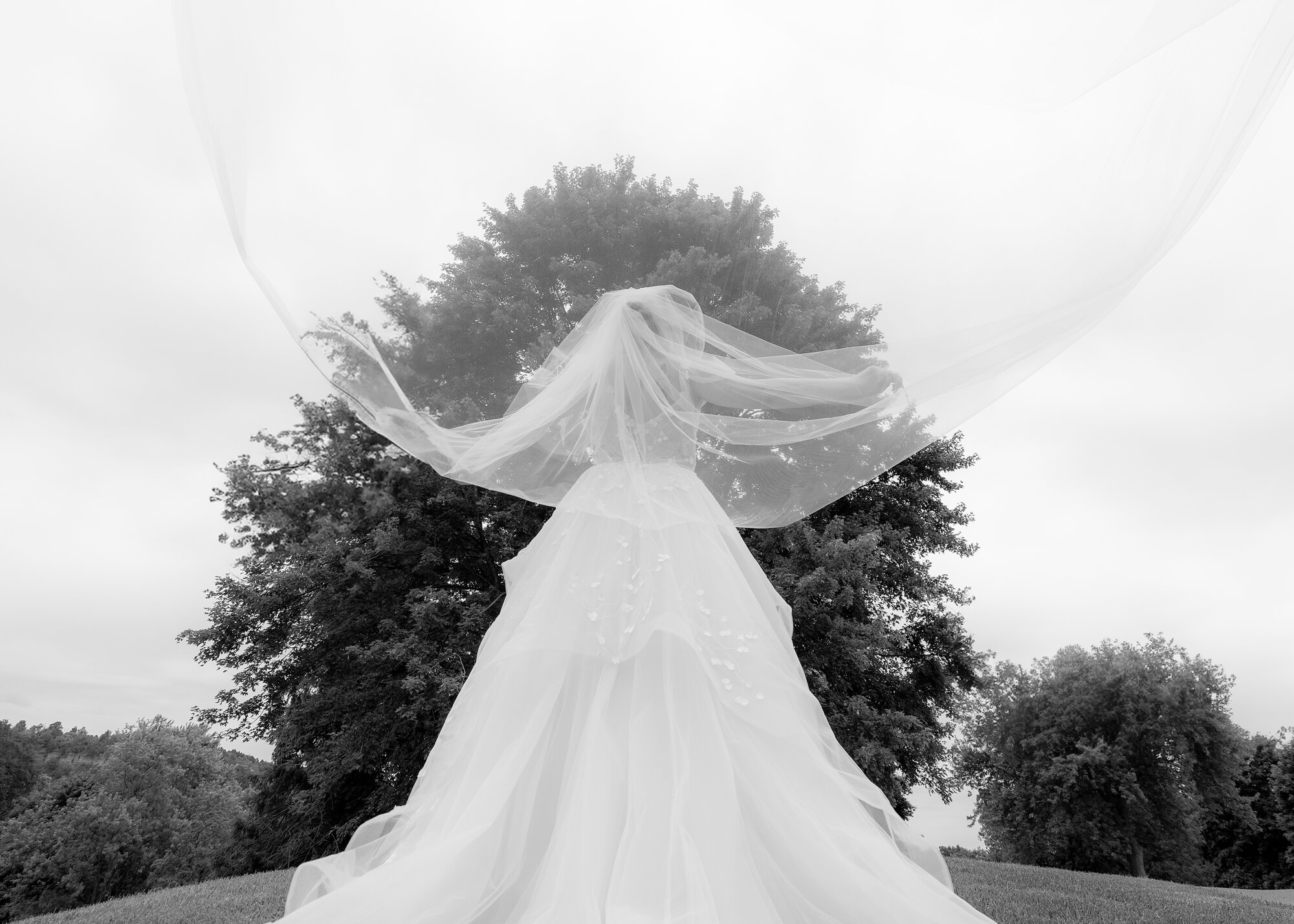 Wedding Veil — wedding photography in Southern Ontario, Ontario by NN Popa Photography